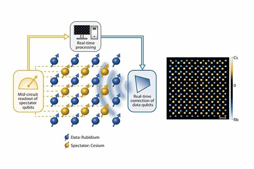 spectator qubits