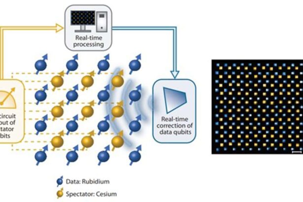 combining spectator qubits