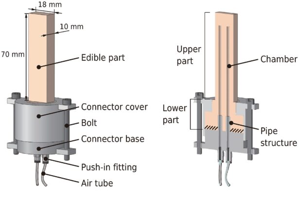Exploring the eating experience of a pneumatically-driven edible robot: Perception, taste, and texture