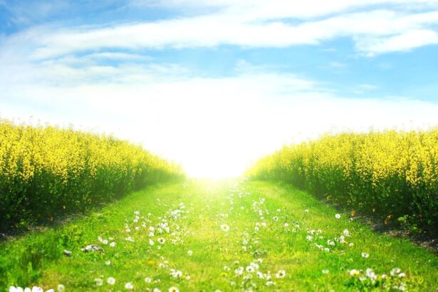 Cloud Computing News