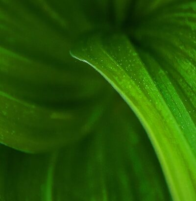 Sustainable data centers—The German Energy Efficiency Act: What data center operators need to consider now and in the future | Perspectivas