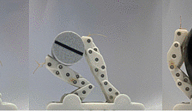 Team designs robots to help with human habitation in space