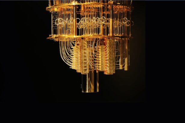 Where They Are Now and What's Next