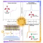 A rechargeable, non-aqueous manganese metal battery