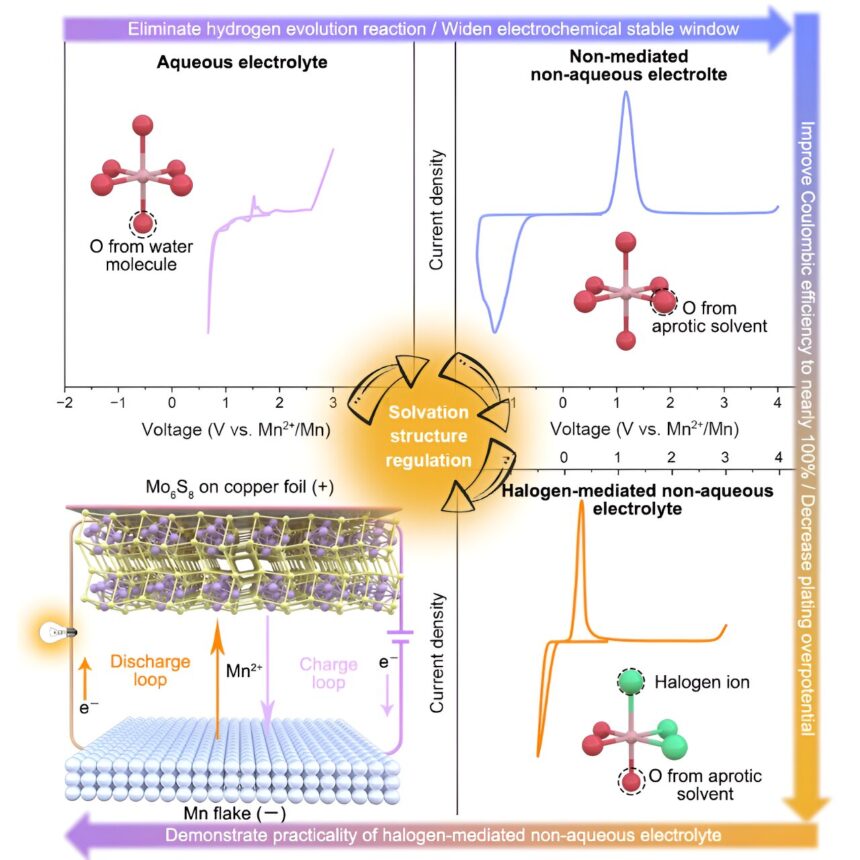 A rechargeable, non-aqueous manganese metal battery