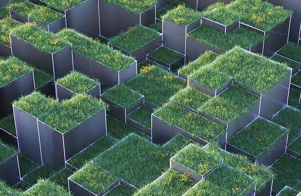 How to handle environmental regulations and green networking