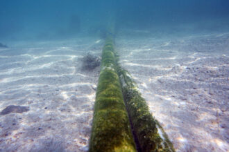 Subsea cable