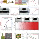 Developing artificial skin that can regenerate skin and transmit sensation at the same time