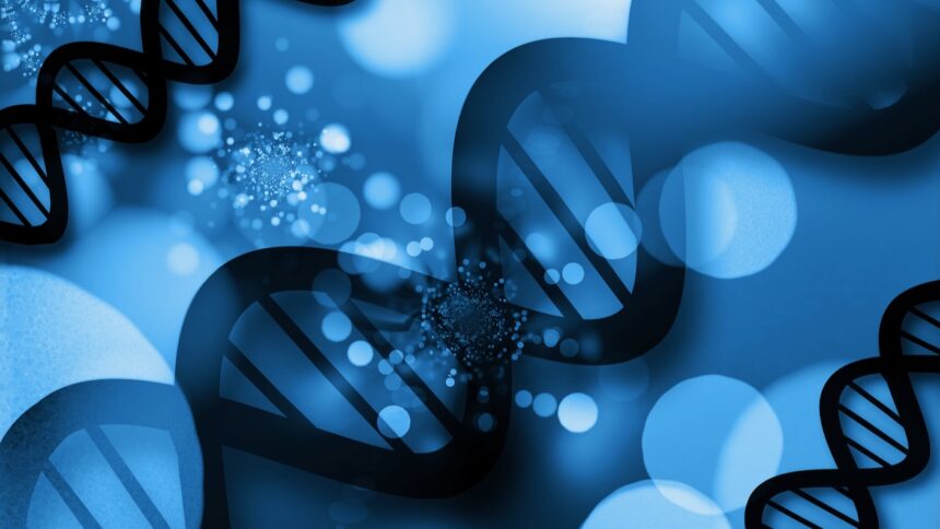 How Quantum Computers Could Illuminate the Full Range of Human Genetic Diversity