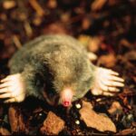 Cloud Computing News