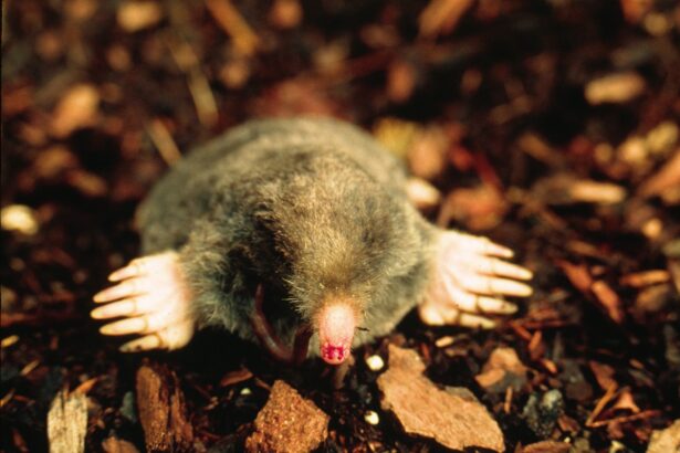 Cloud Computing News