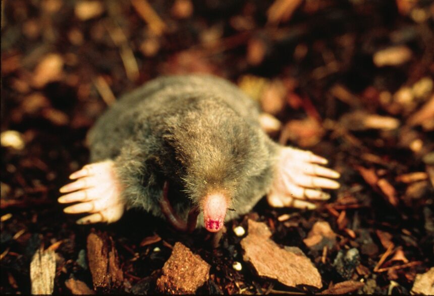 Cloud Computing News