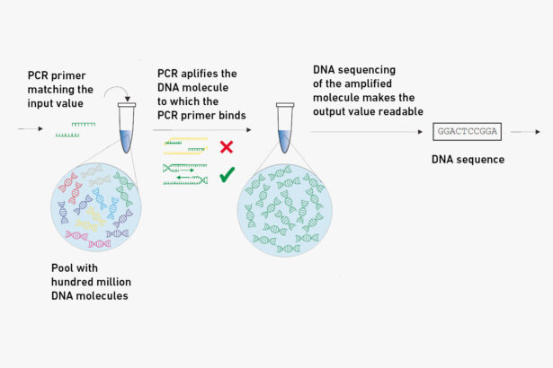 Protecting art and passwords with biochemistry