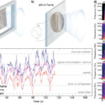 Researchers engineer sound-suppressing silk to reduce noise transmission in a large room