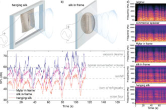 Researchers engineer sound-suppressing silk to reduce noise transmission in a large room