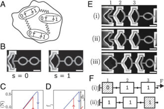 Researchers use 'smart' rubber structures to carry out computational tasks