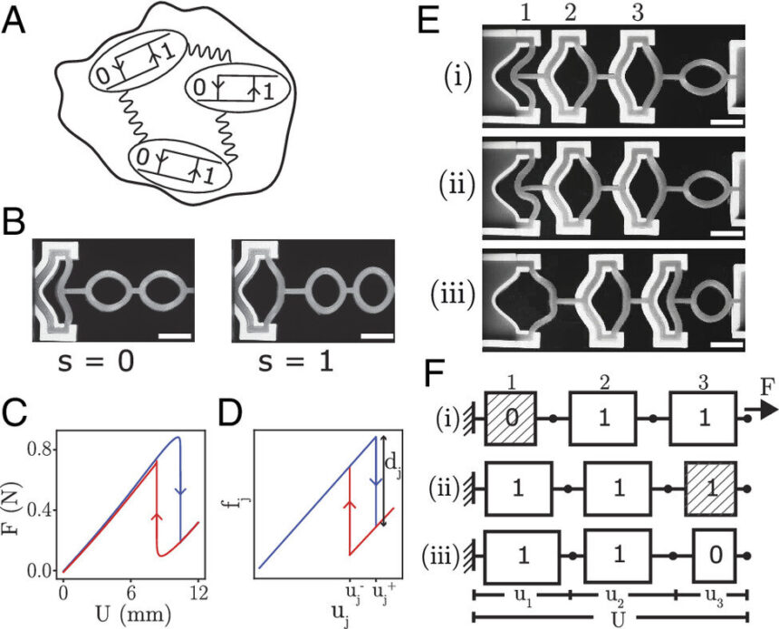 Researchers use 'smart' rubber structures to carry out computational tasks