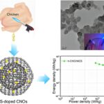 Scientists convert chicken fat into energy storage devices