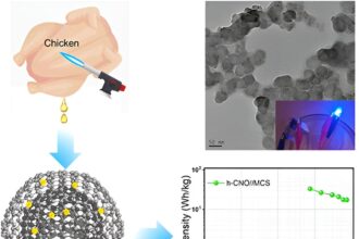 Scientists convert chicken fat into energy storage devices