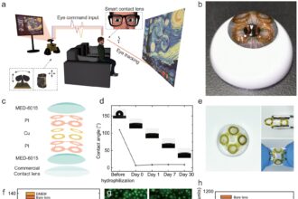 Smart contact lenses lead the way for human-machine interaction