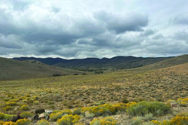 CEO: Tract to invest $100 billion in Storey County