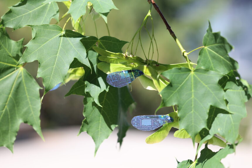 Light-controlled artificial maple seeds could monitor the environment even in hard-to-reach locations