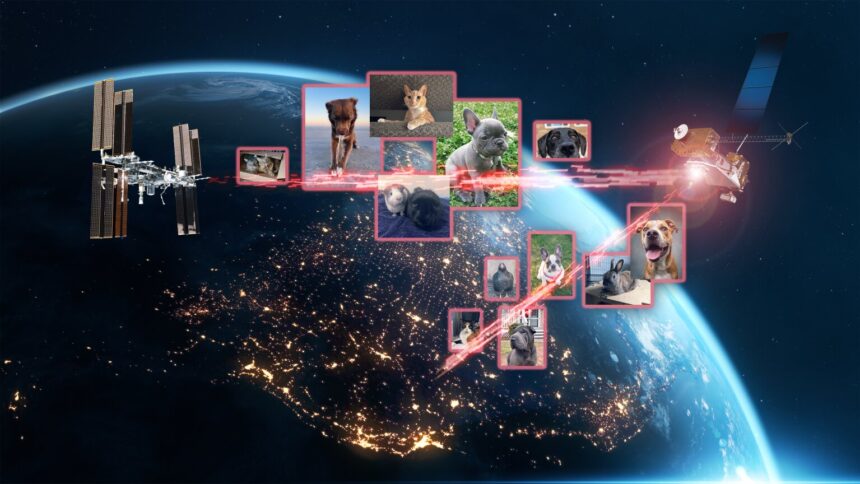 NASA's laser relay system sends pet imagery to and from Space Station
