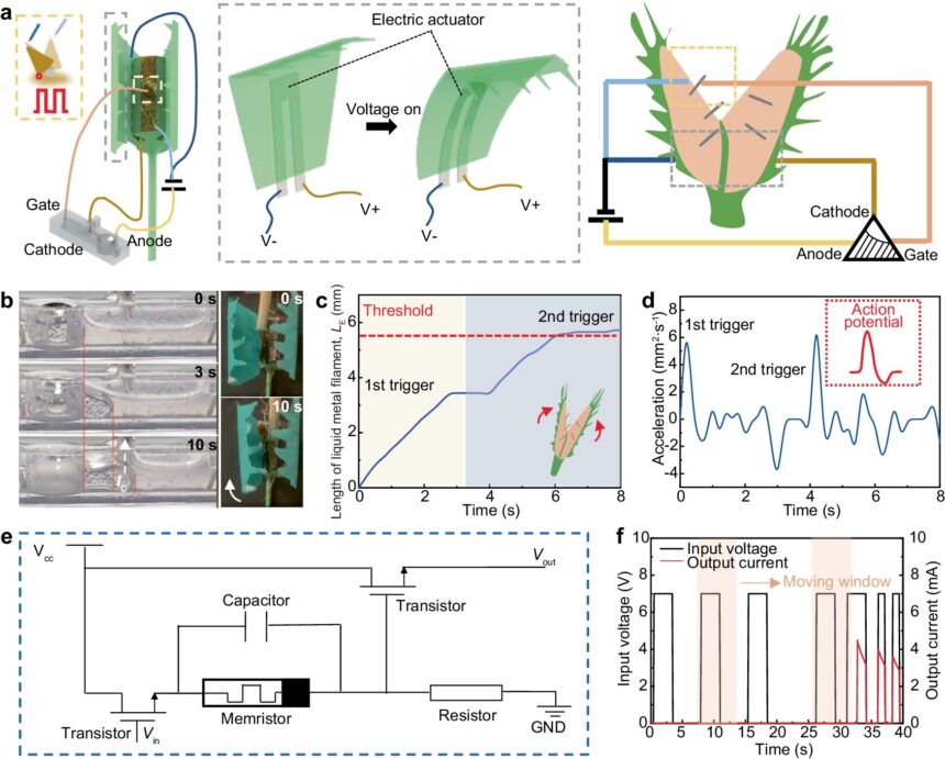 New liquid metal-based electronic logic device mimics prey-capture mechanism of Venus flytrap