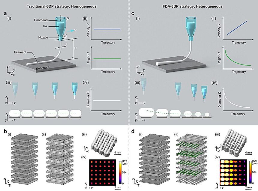 Researchers develop novel 3D printing strategy with controllable gradients porous structures