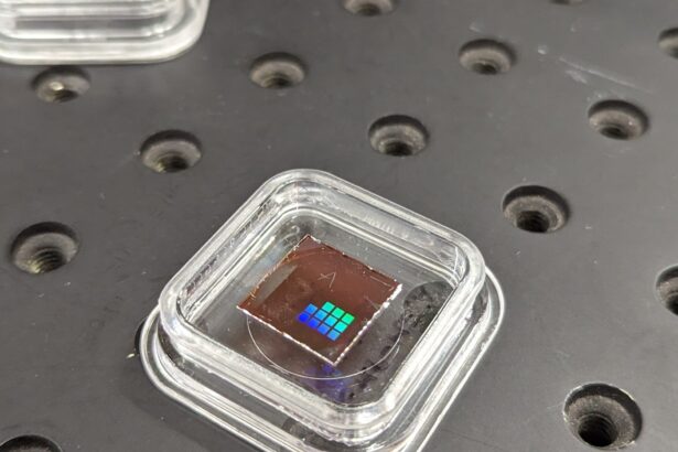 Tiny crop-health sensors could help cut the cost of groceries