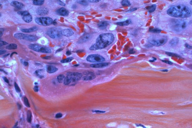 Bio-hybrid robotics need regulation and public debate, say researchers