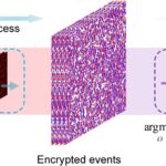 Event-driven optical encryption advances information security through neuromorphic imaging