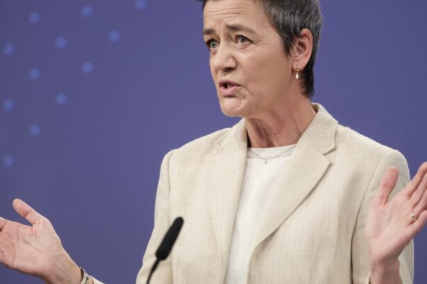 Nvidia AI chips are a 'huge bottleneck' but that doesn't mean regulatory action, EU says