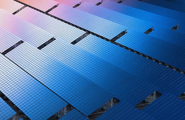 Sustainability ranks low on list of supply chain priorities