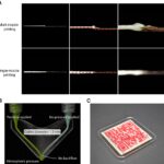 Team prints edible QR codes using innovative 3D food printer