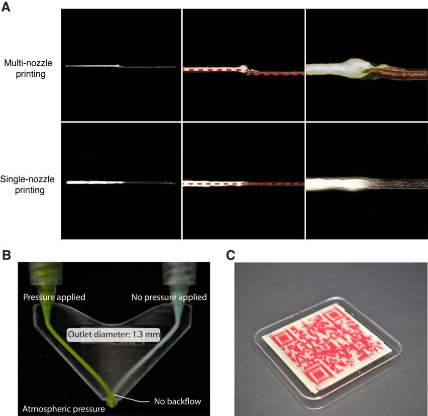 Team prints edible QR codes using innovative 3D food printer