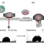 A light-powered hydrogel launcher