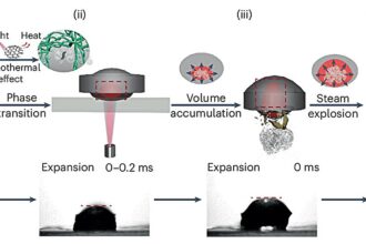 A light-powered hydrogel launcher