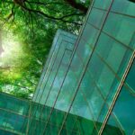 Eco-friendly building in the modern city. Green tree branches with leaves and sustainable glass building for reducing heat and carbon dioxide. Office building with green environment. Go green concept. Sustainable, sustainability