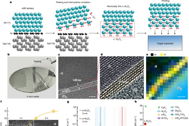 Engineers develop new two-dimensional, low-power-consumption field-effect transistor