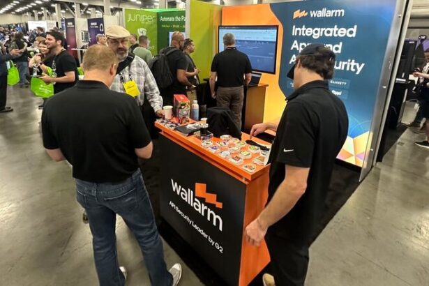 Wallarm Unveils API Attack Surface Management Solution