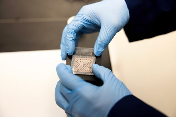 Inspired by squids and octopi, a new screen stores and displays encrypted images without electronics