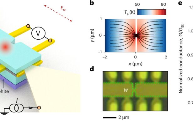 First practical application of viscous electron flow realizes terahertz photoconductivity in graphene