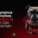 Playnance Launches PlayBlock: The Future of Zero-Gas Blockchain for Trading, Gaming, and Web3 Adoption