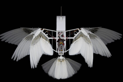 Robotic model with real pigeon feathers can fly like a bird