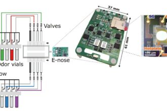 Tiny electronic nose rivals animal scent detection