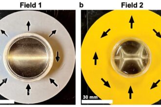 3D printing approach for shape-changing materials means better biomedical, energy, robotics devices