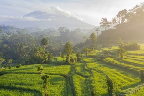 BDx Data Centers Launches Sovereign AI Data Center in Indonesia