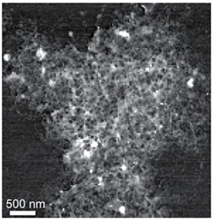 Burned rice hulls could help batteries store more charge