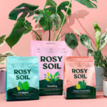 Rosy Soil